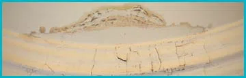 logo-image - small-bns-water-damage
